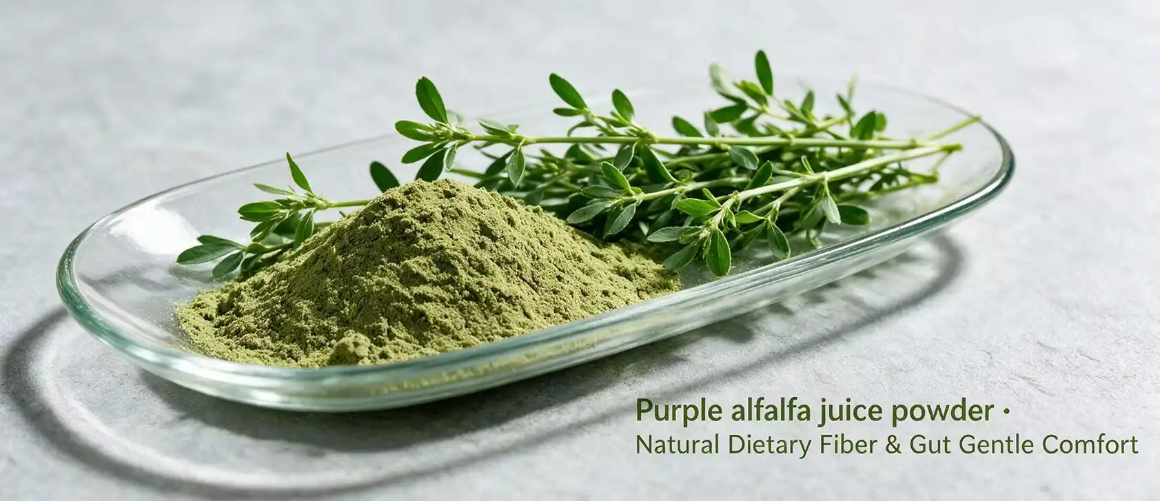 Purple alfalfa juice powder