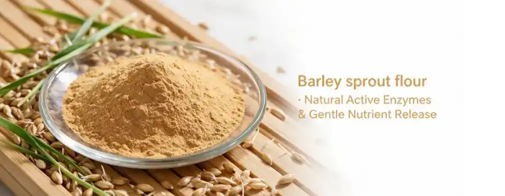 Barley sprout powder