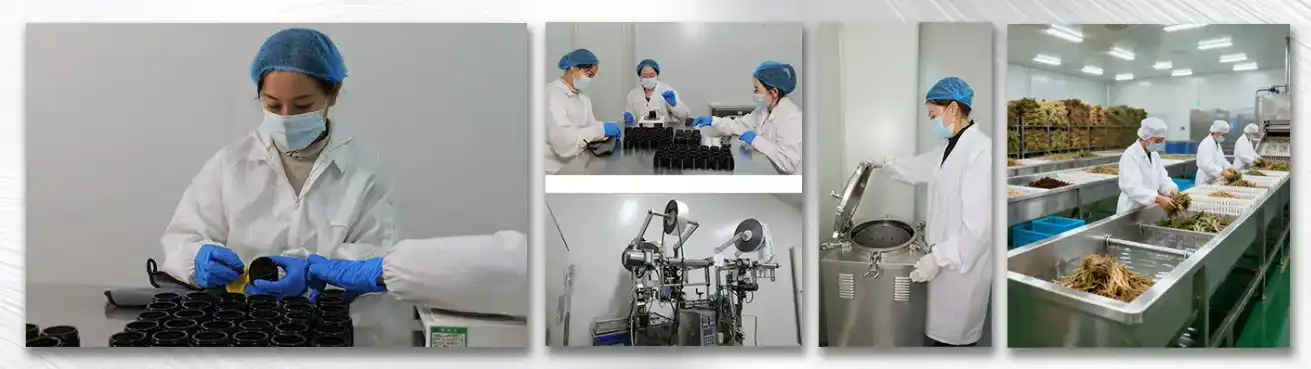Barley sprout powder Barley sprout powder
