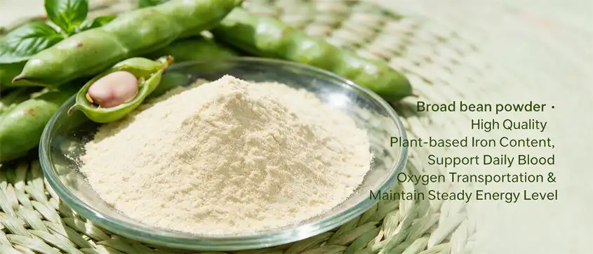 Broad bean powder