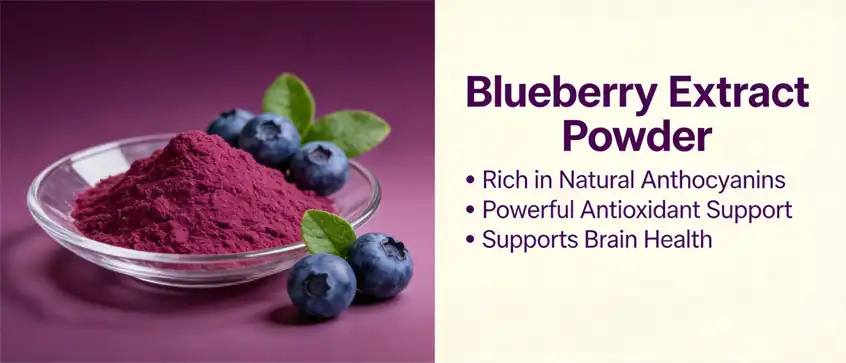 natural blueberry extract powder natural blueberry extract powder