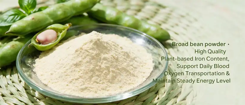 Broad bean powder