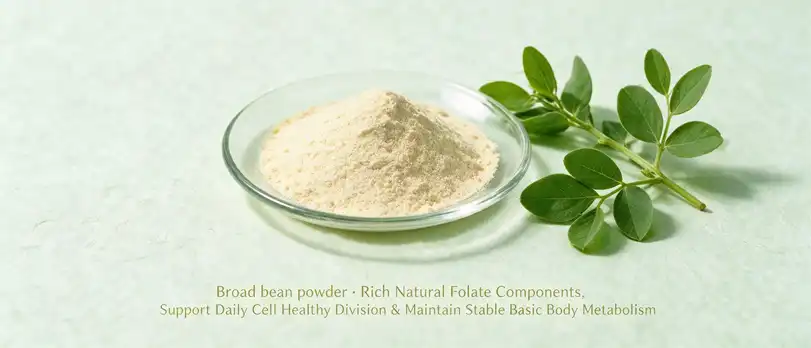 Broad bean powder