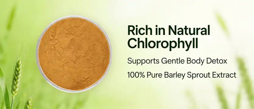 Barley sprout powder Barley sprout powder