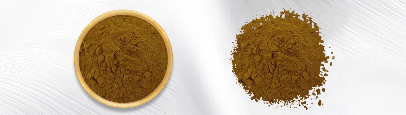 rheum extract