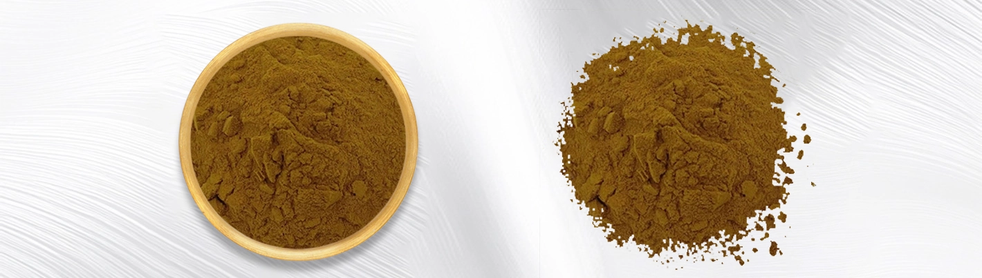 Bupleurum chinense extract Bupleurum chinense extract