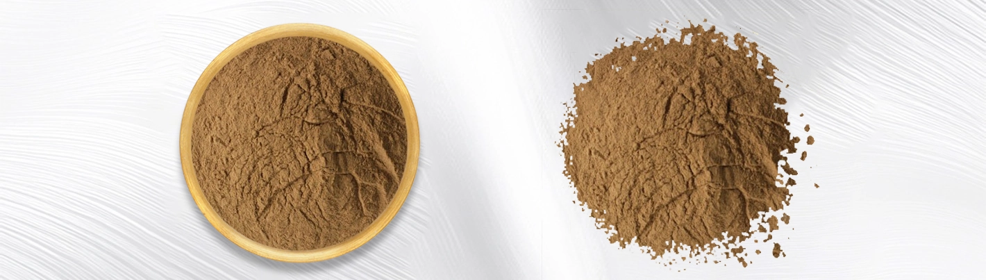 imperata cylindrica extract imperata cylindrica extract