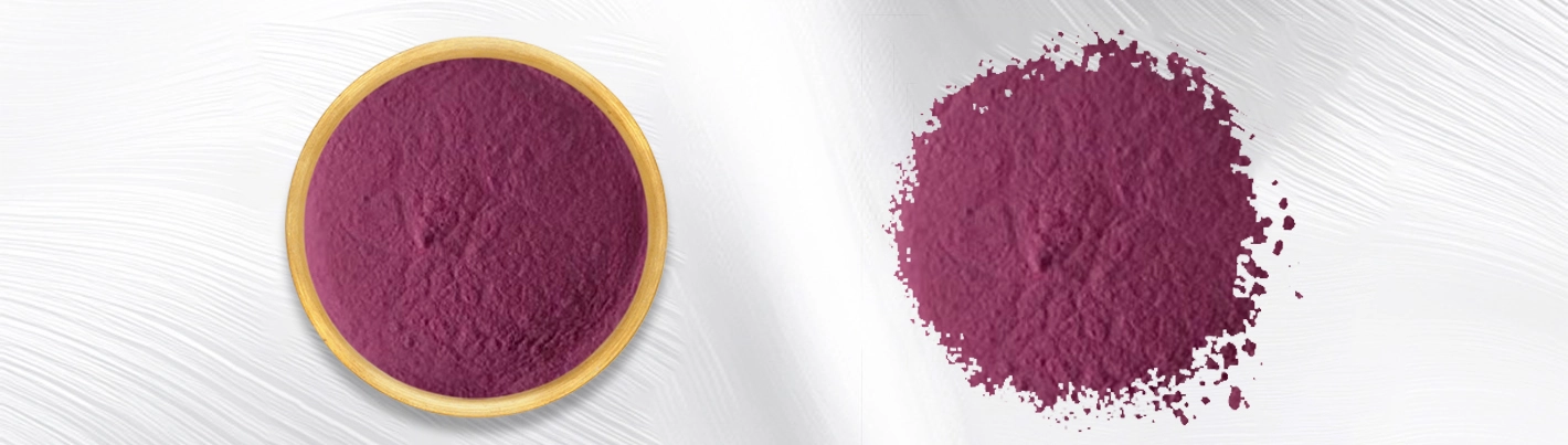 Elderberry Liquid Extract Elderberry Liquid Extract