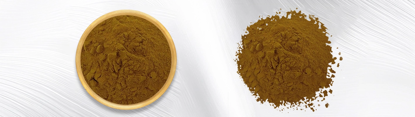 Aster tataricus extract Aster tataricus extract