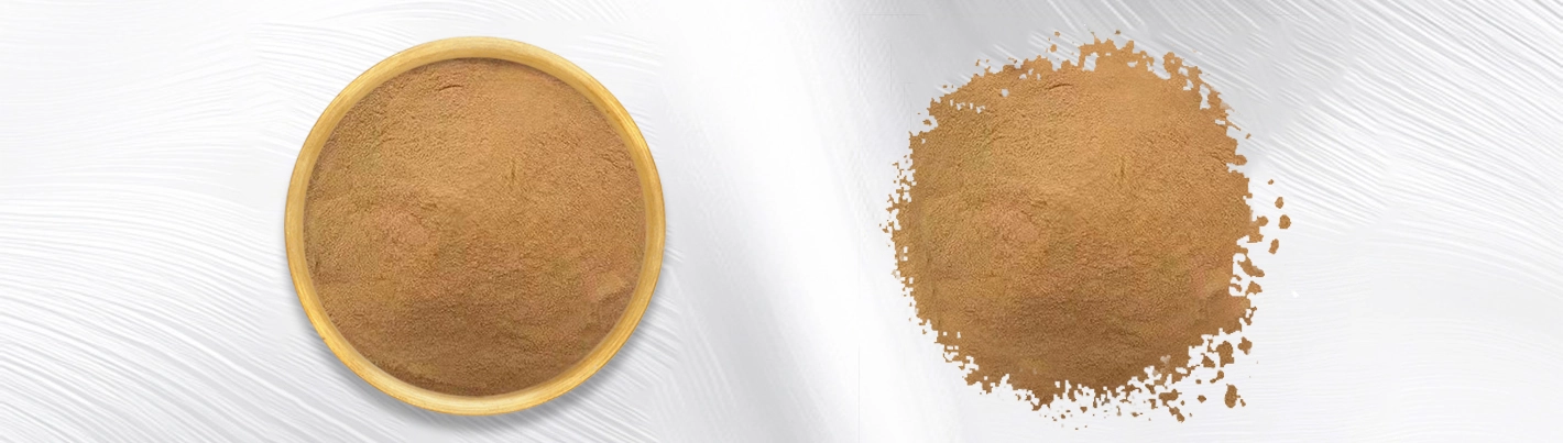 Ginkgo Biloba Leaf Extract Ginkgo Biloba Leaf Extract