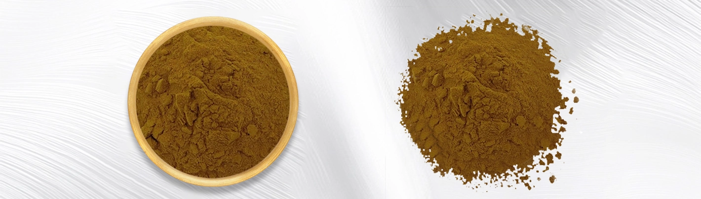 Coix lacryma-jobi extract Coix lacryma-jobi extract