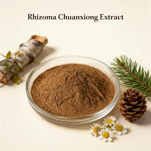 How Rhizoma Chuanxiong Extract Relieves Headaches？