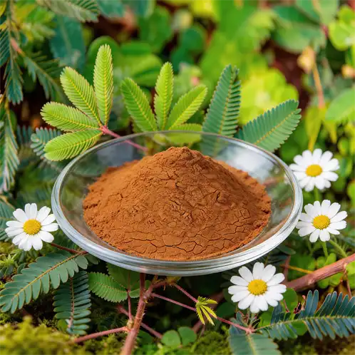 Mimosa Root Bark Extract: Natural Antimicrobial Agent