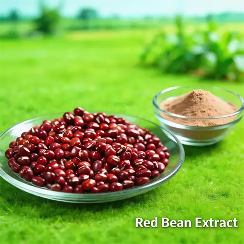 Top Benefits of Red Bean Extract in Dietary Supplements