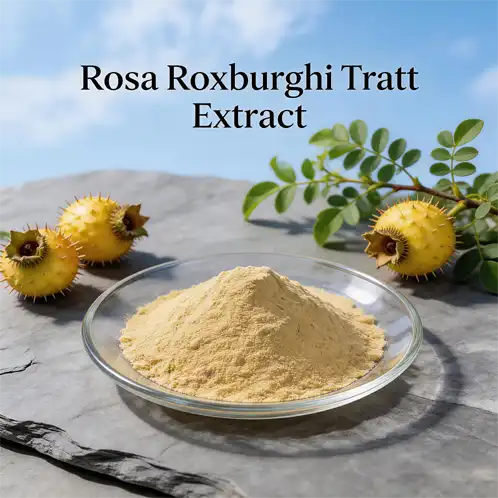 Rosa Roxburghii Tratt Extract Benefits for Antioxidant Support