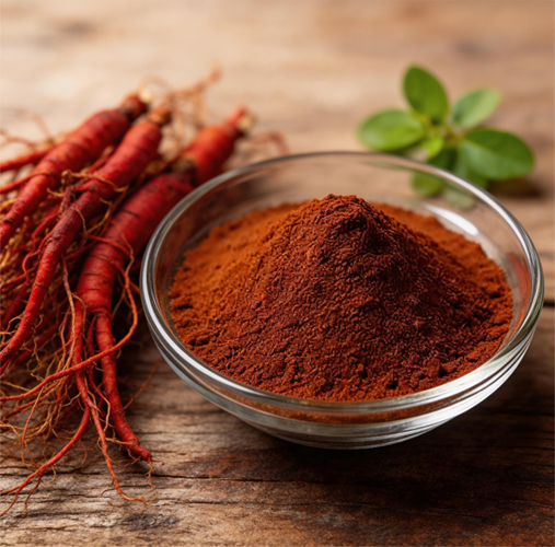Miltiorrhiza Root Extract Powder: Antioxidant & Anti-Inflammatory