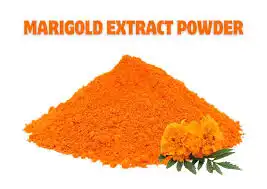 Marigold Extract Powder: Bulk Supply Buying Guide