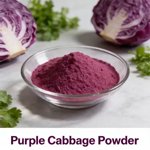 Natural Purple Cabbage Powder for Functional Nutrition