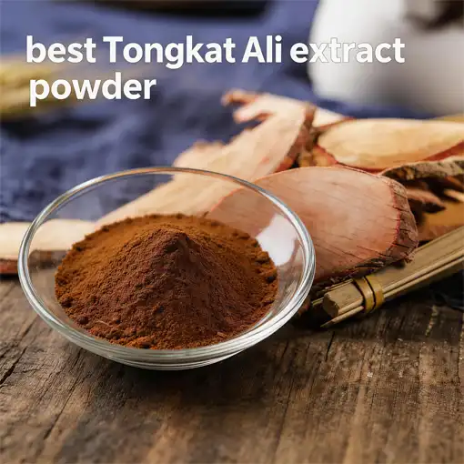 What Makes the Best Tongkat Ali Extract Powder Stand Out?
