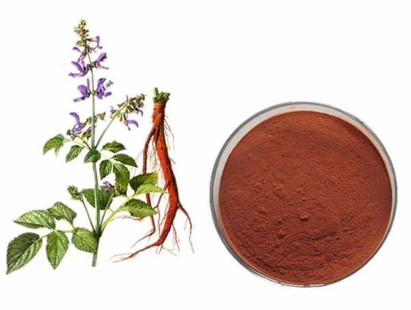 Can Miltiorrhiza Root Extract Powder Improve Blood Flow?