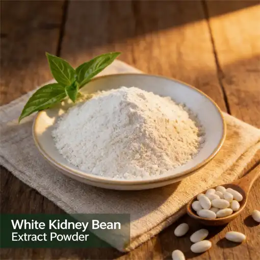Why Is White Kidney Bean Extract Powder Popular Worldwide?