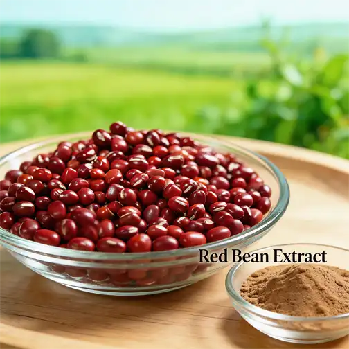 Why Red Bean Extract Is Trending in Health Products？