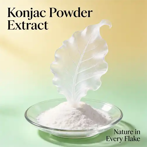 Konjac Flour Extract: Premium Ingredient for Low-Calorie Foods