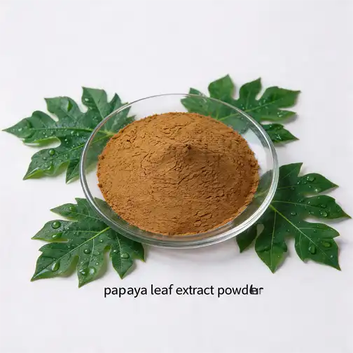 Papaya Leaf Extract Powder Benefits: What Does Science Say?