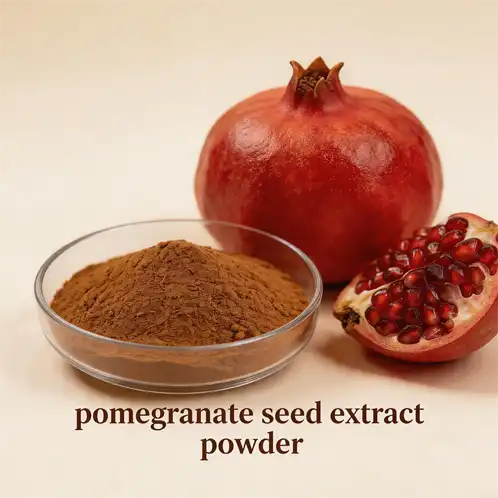 Pomegranate Seed Extract Powder for Antioxidant Support